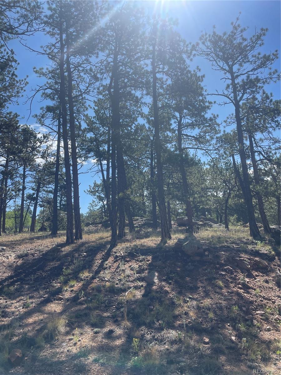 MLS Image #27 for 3943  co rd 403 ,lake george, Colorado