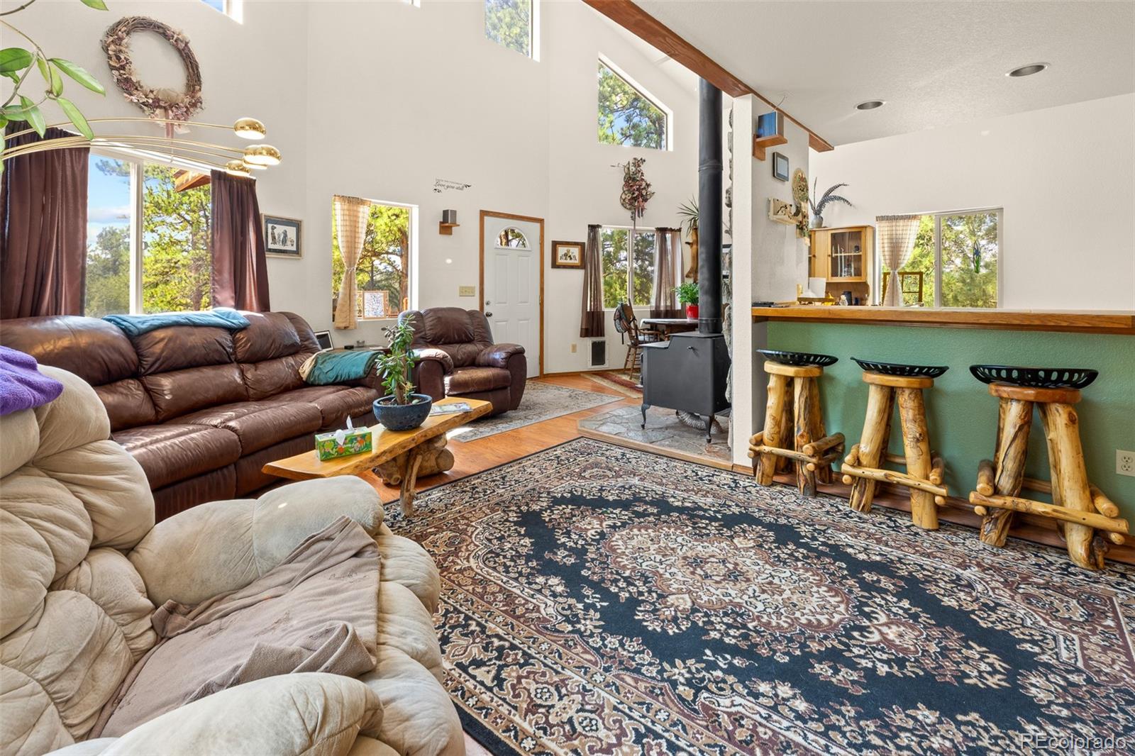 MLS Image #4 for 3943  co rd 403 ,lake george, Colorado