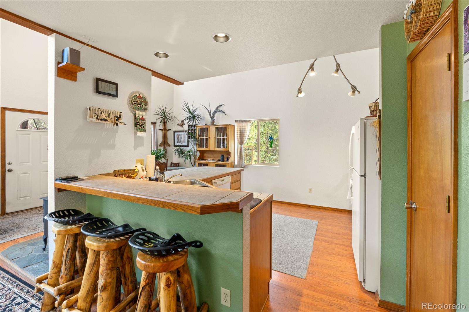 MLS Image #8 for 3943  co rd 403 ,lake george, Colorado