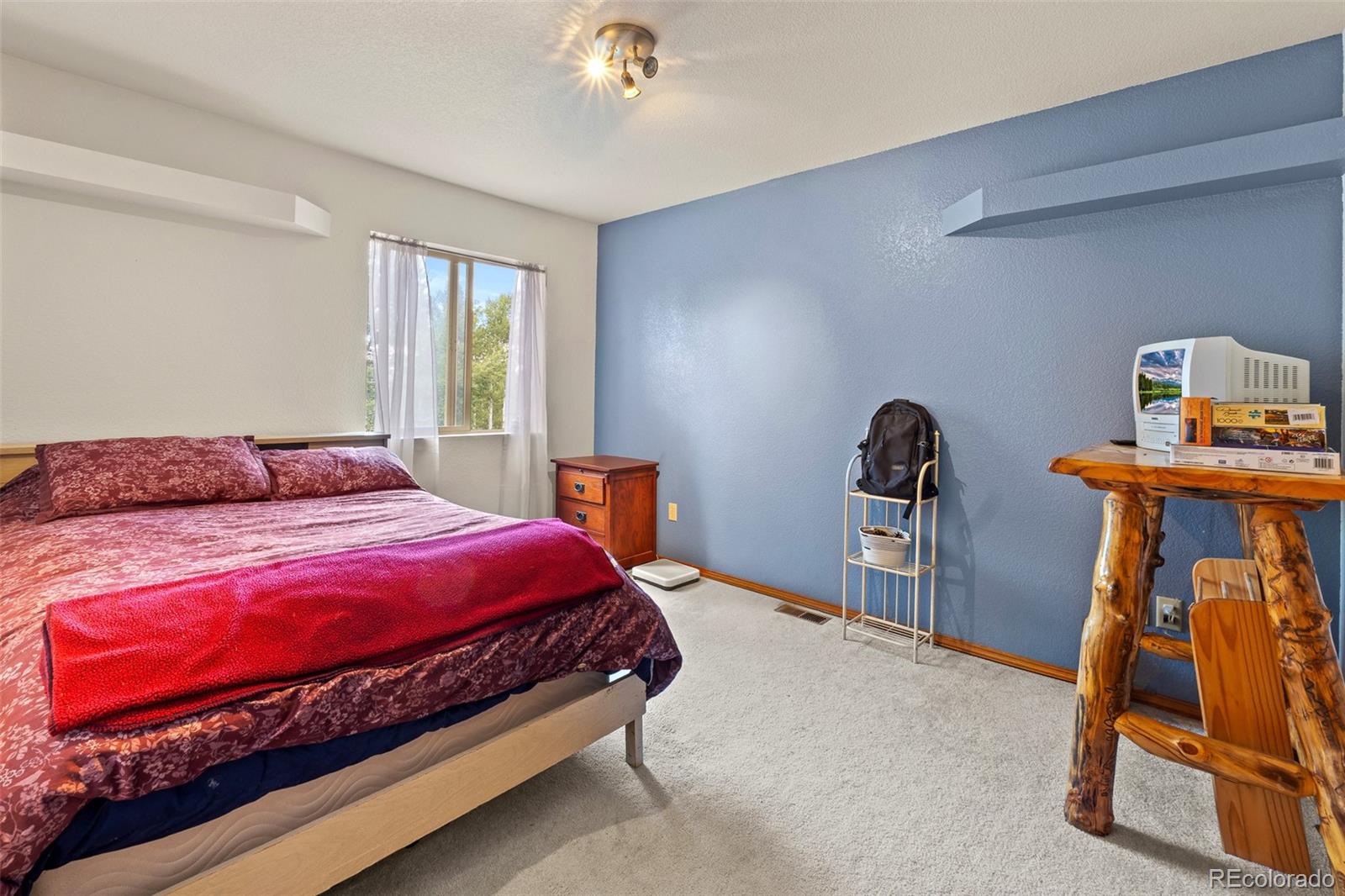 MLS Image #9 for 3943  co rd 403 ,lake george, Colorado