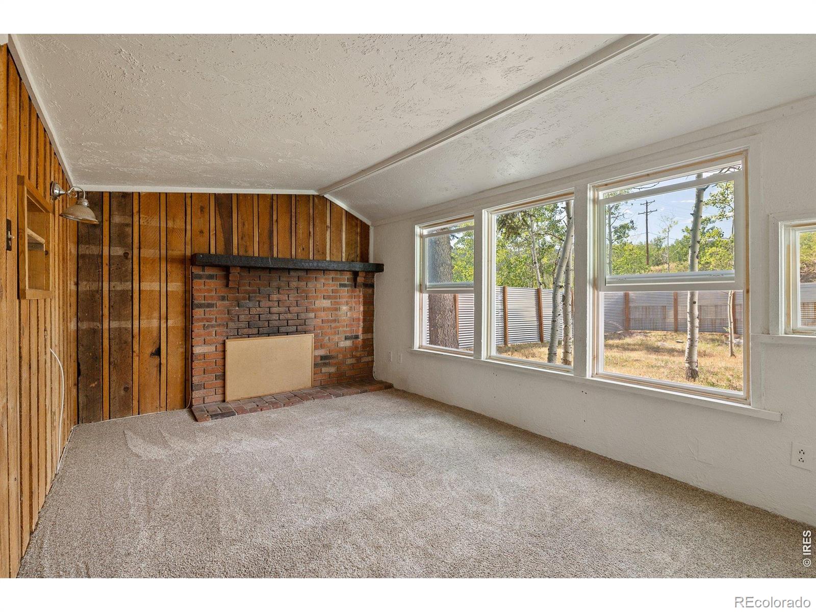 MLS Image #5 for 430 w 3rd street,nederland, Colorado