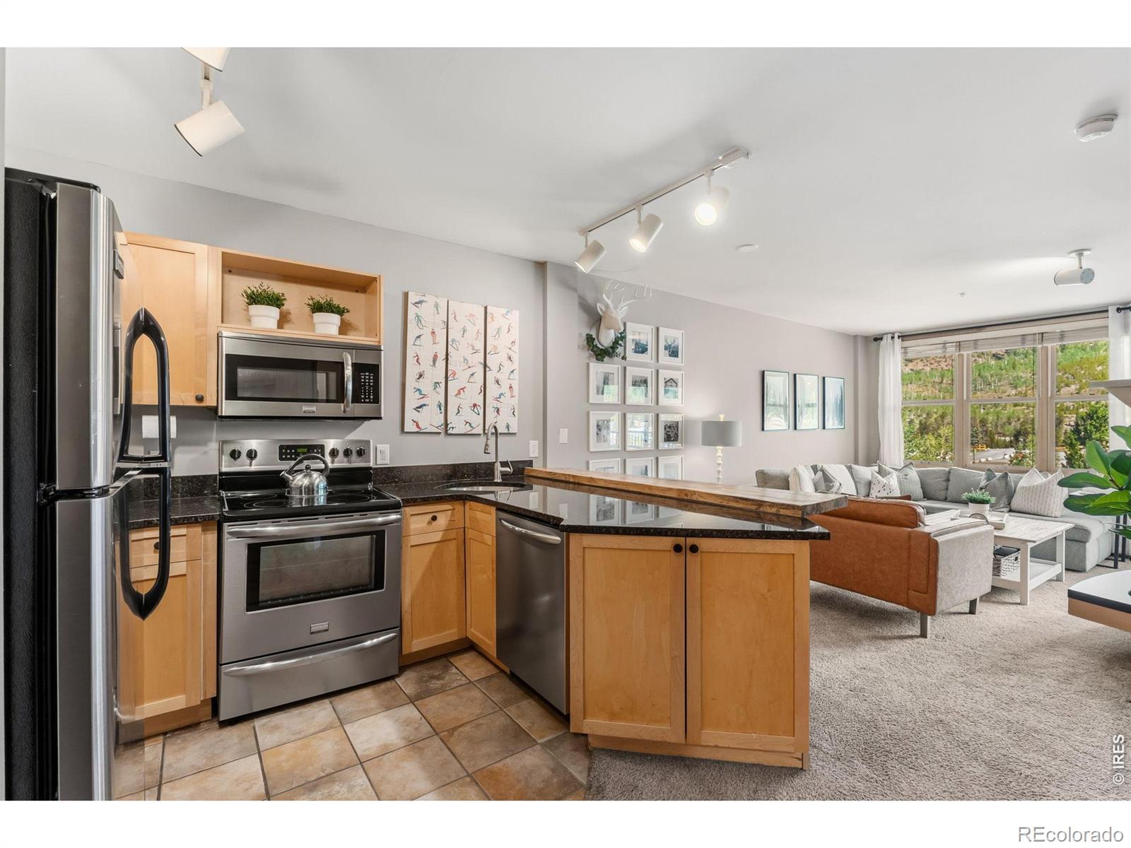 MLS Image #3 for 140  ida belle drive,keystone, Colorado