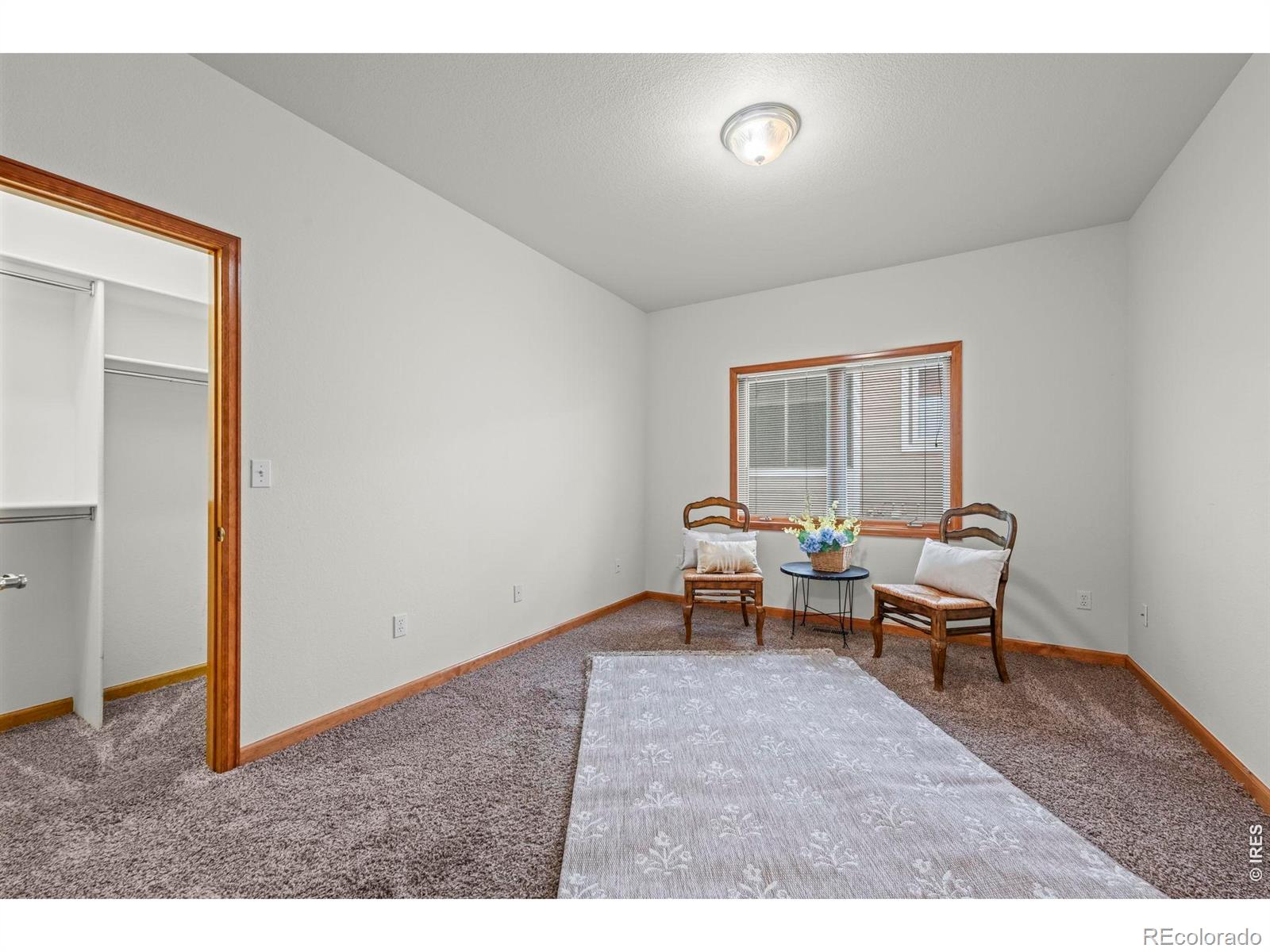 MLS Image #13 for 47  curtis court,broomfield, Colorado