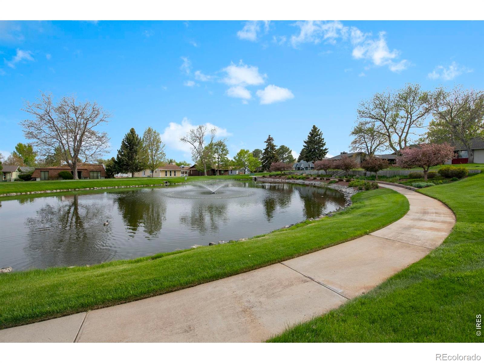 MLS Image #26 for 47  curtis court,broomfield, Colorado