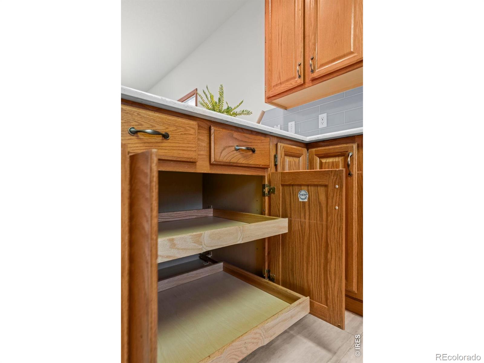 MLS Image #7 for 47  curtis court,broomfield, Colorado