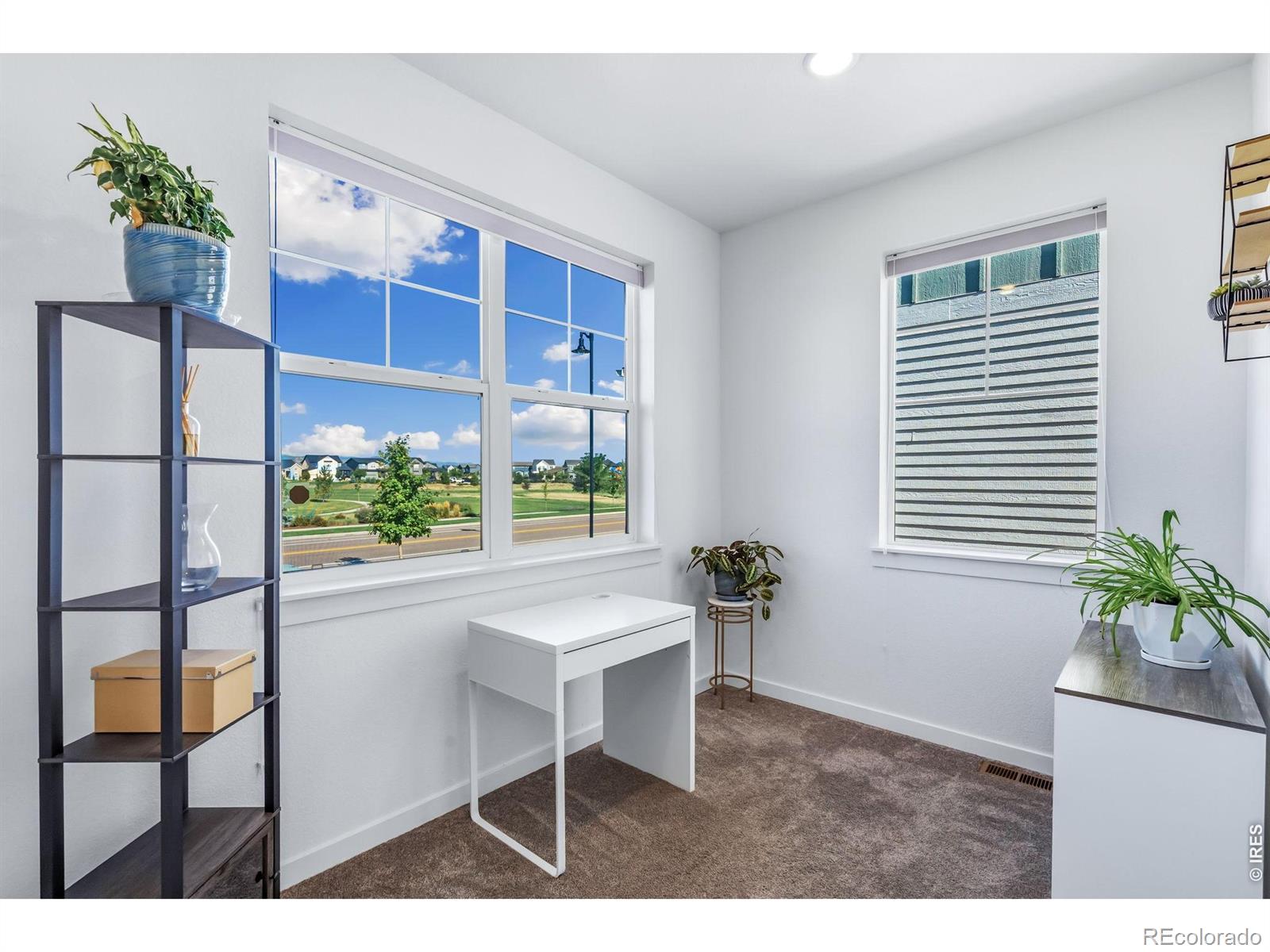 MLS Image #12 for 5174  rendezvous parkway,timnath, Colorado
