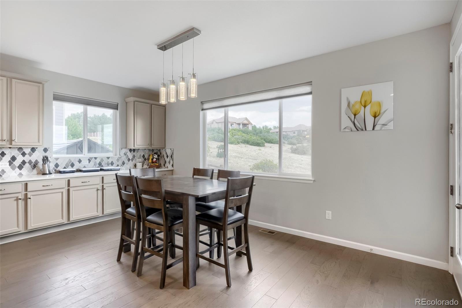MLS Image #15 for 7013  mentha drive,castle rock, Colorado