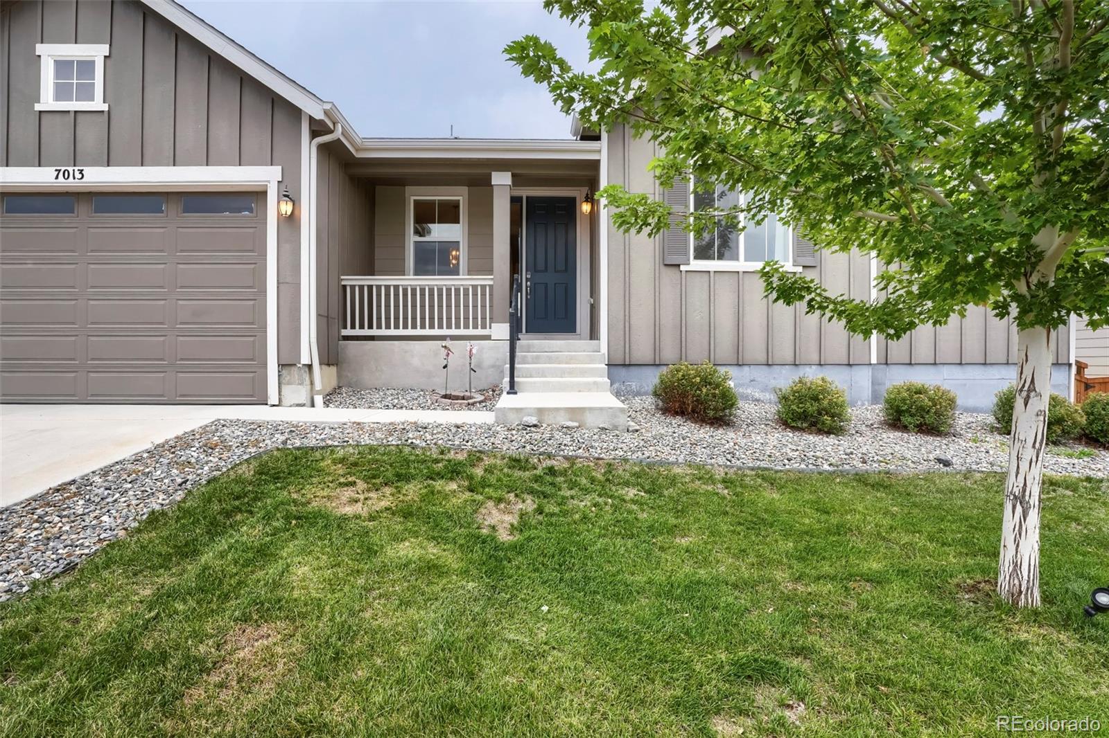 MLS Image #2 for 7013  mentha drive,castle rock, Colorado