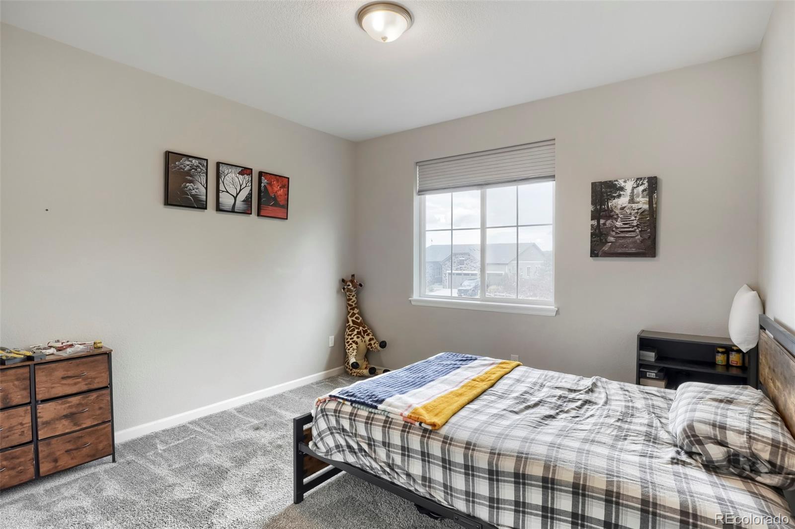 MLS Image #35 for 7013  mentha drive,castle rock, Colorado