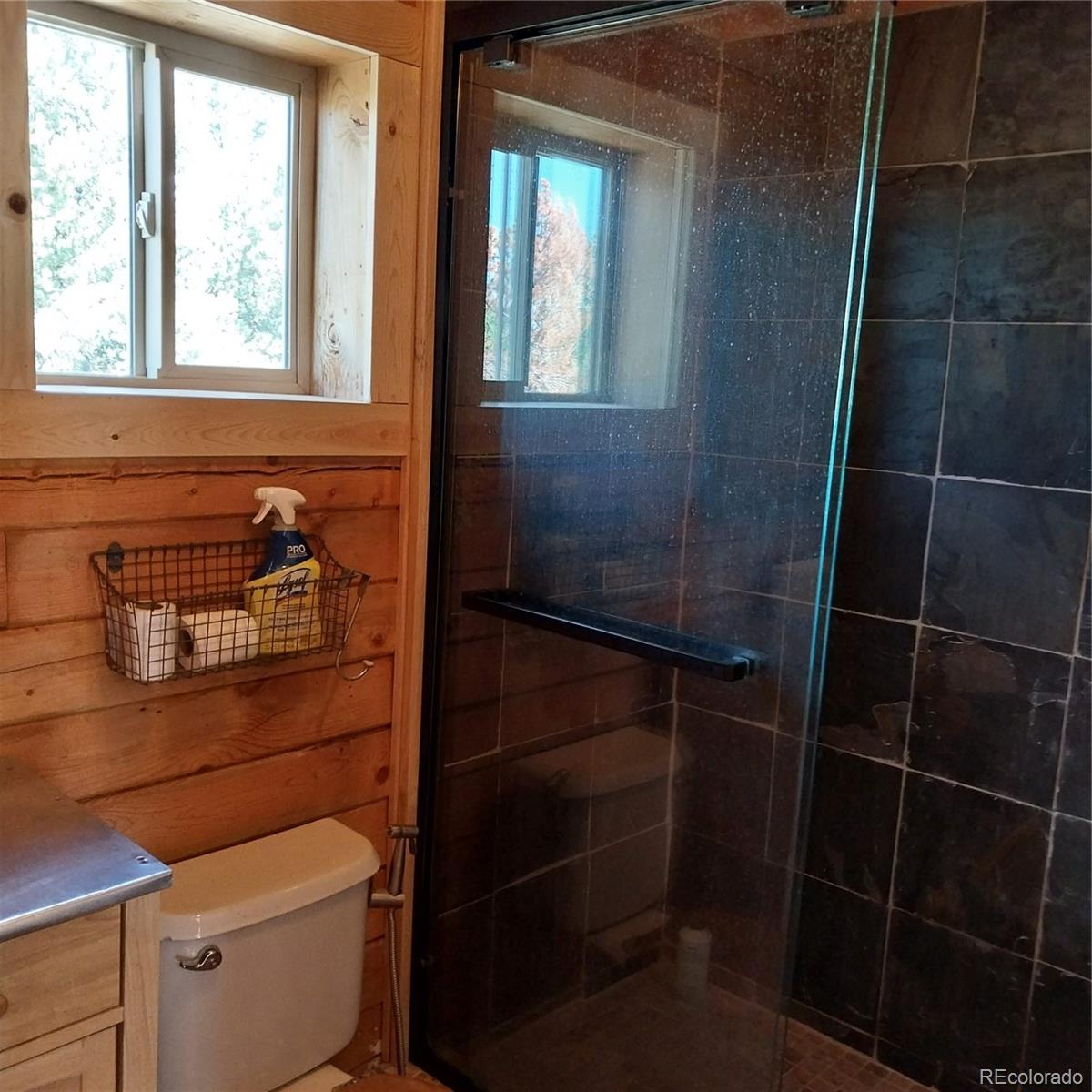 MLS Image #15 for 1391  ute trail,como, Colorado