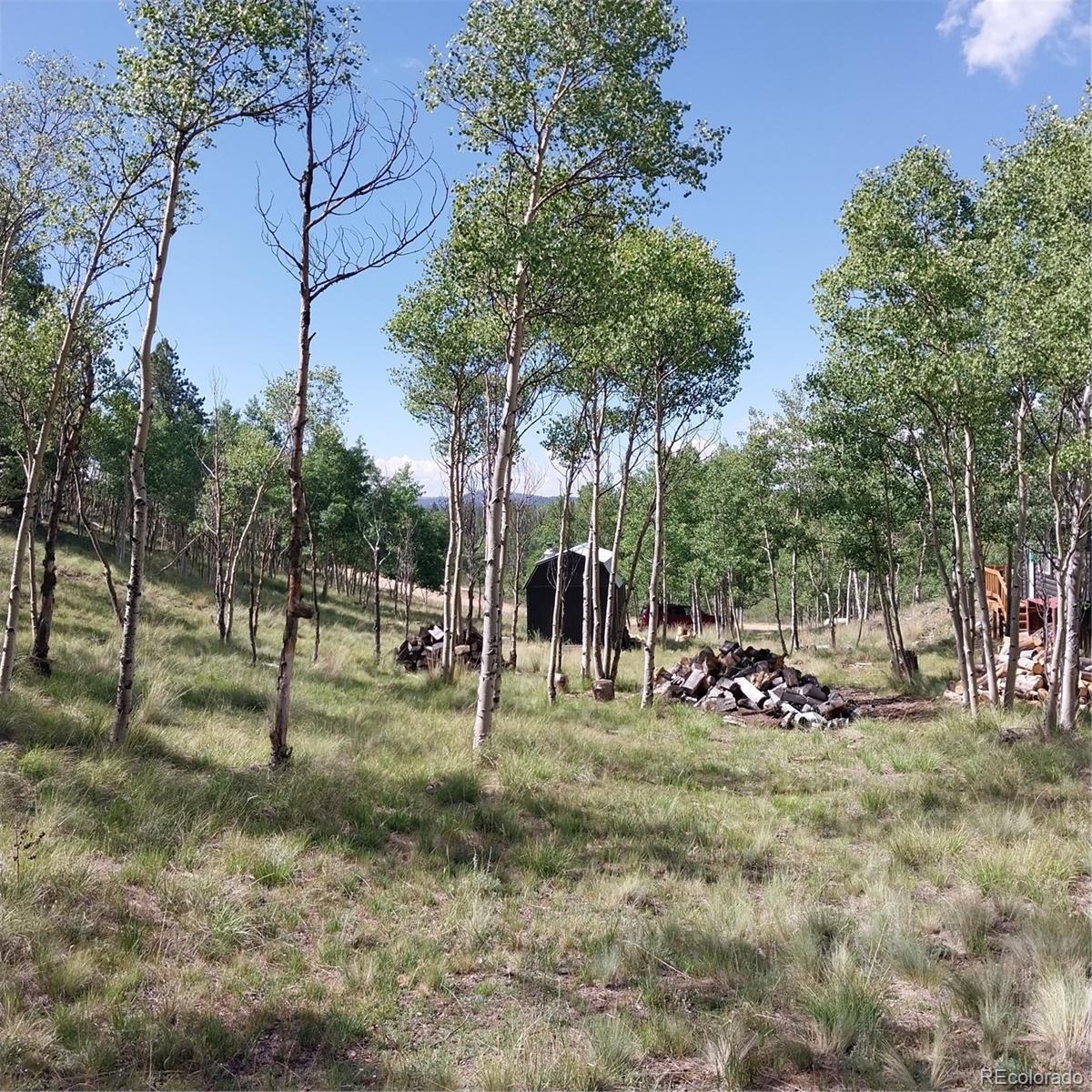 MLS Image #25 for 1391  ute trail,como, Colorado