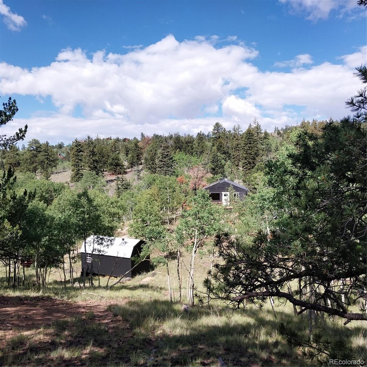 MLS Image #29 for 1391  ute trail,como, Colorado