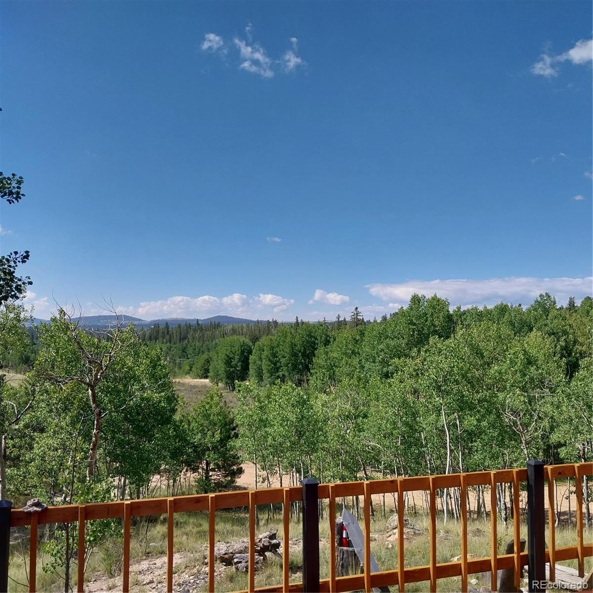 MLS Image #4 for 1391  ute trail,como, Colorado