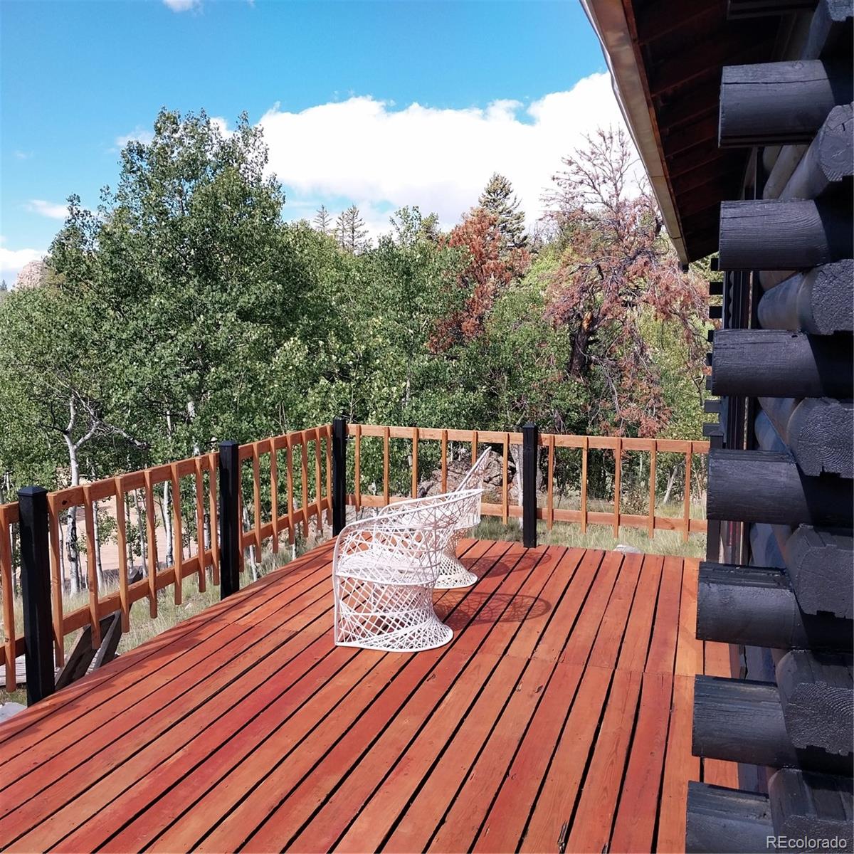 MLS Image #5 for 1391  ute trail,como, Colorado