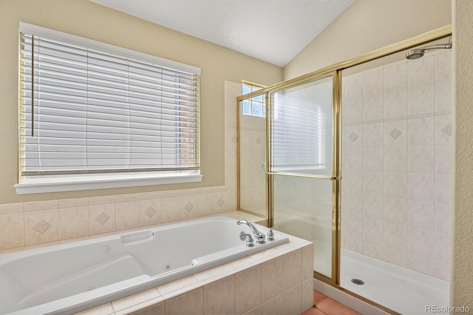 MLS Image #28 for 18093 e alamo drive,centennial, Colorado