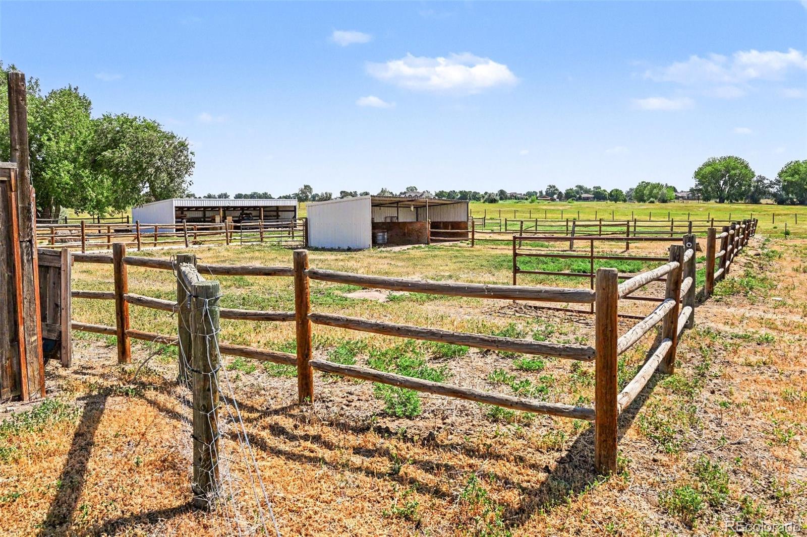 MLS Image #26 for 416  gray horse drive,fort collins, Colorado