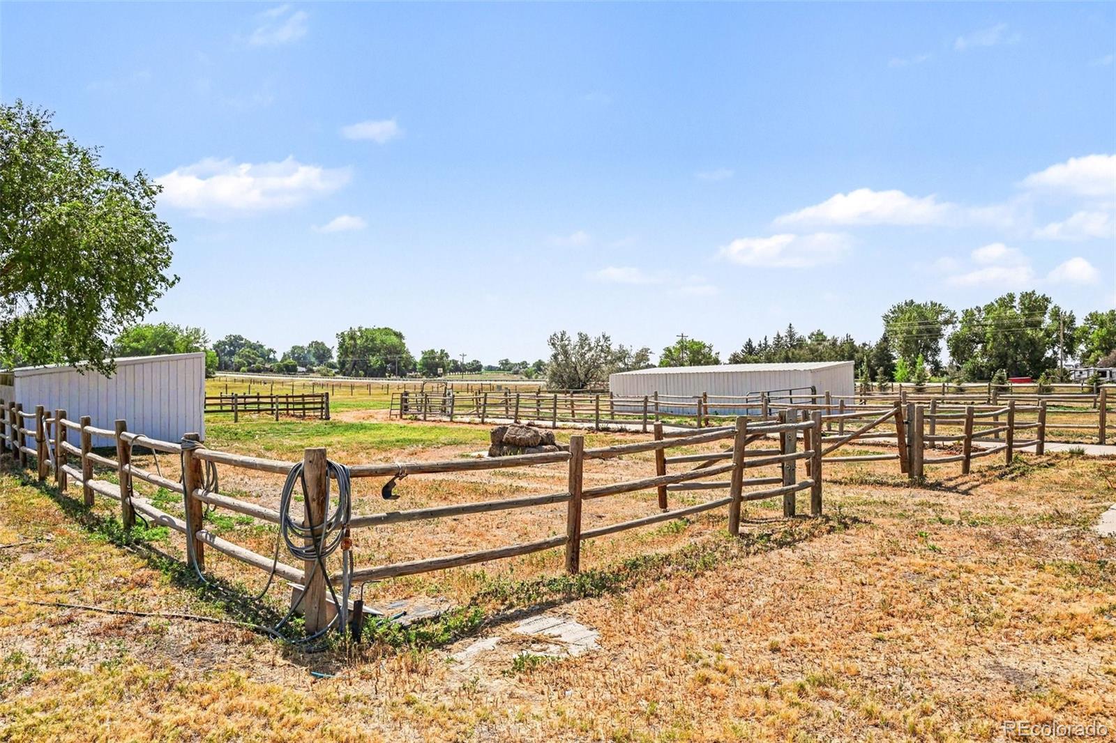 MLS Image #29 for 416  gray horse drive,fort collins, Colorado