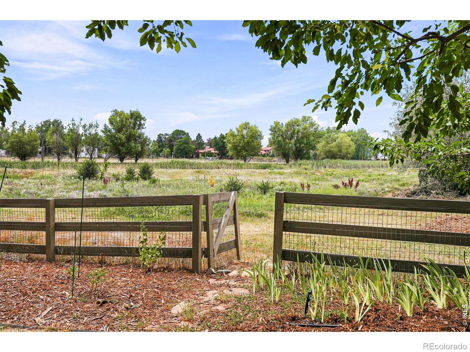 MLS Image #41 for 2854  blue jay way,lafayette, Colorado