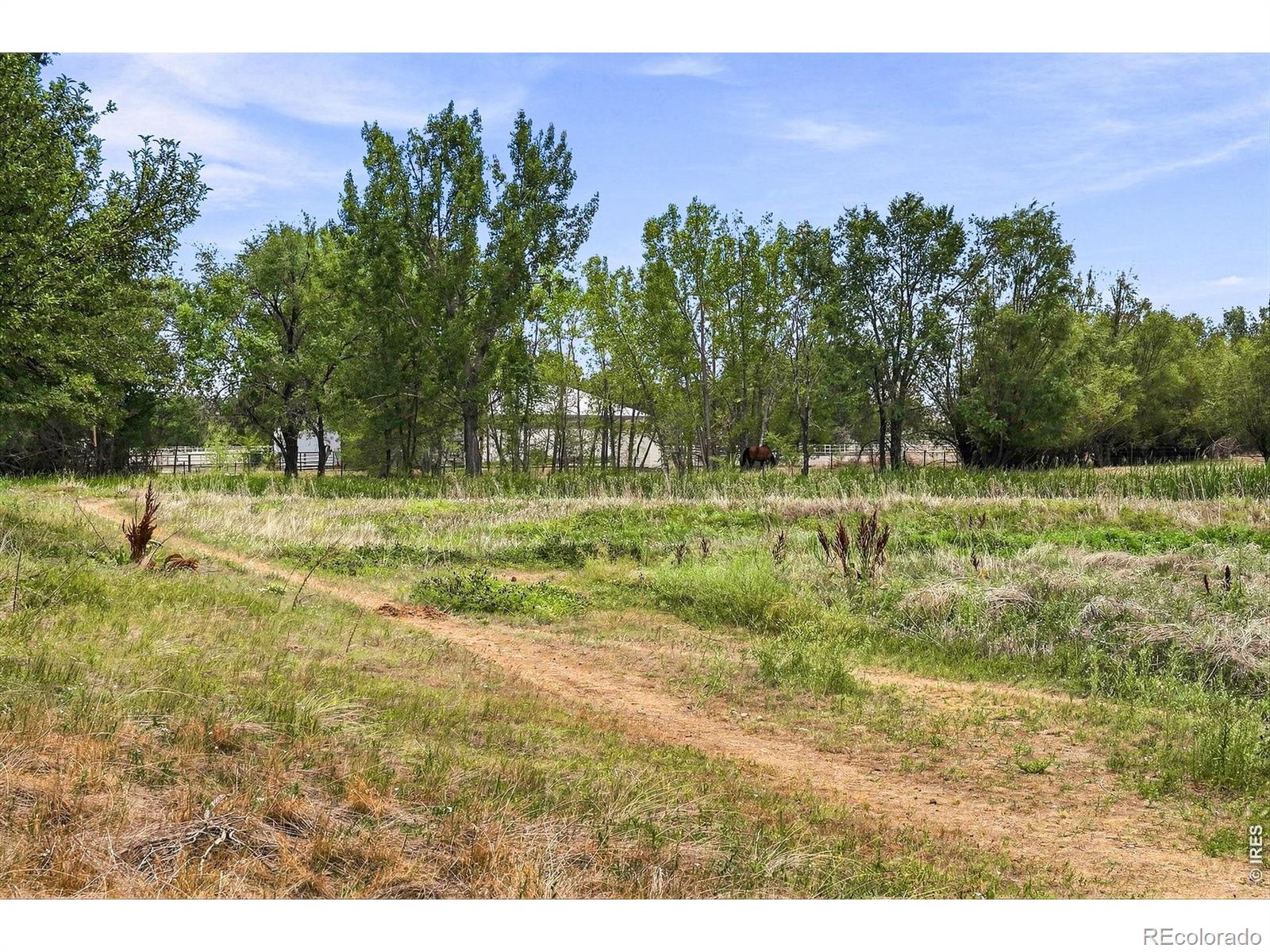 MLS Image #42 for 2854  blue jay way,lafayette, Colorado
