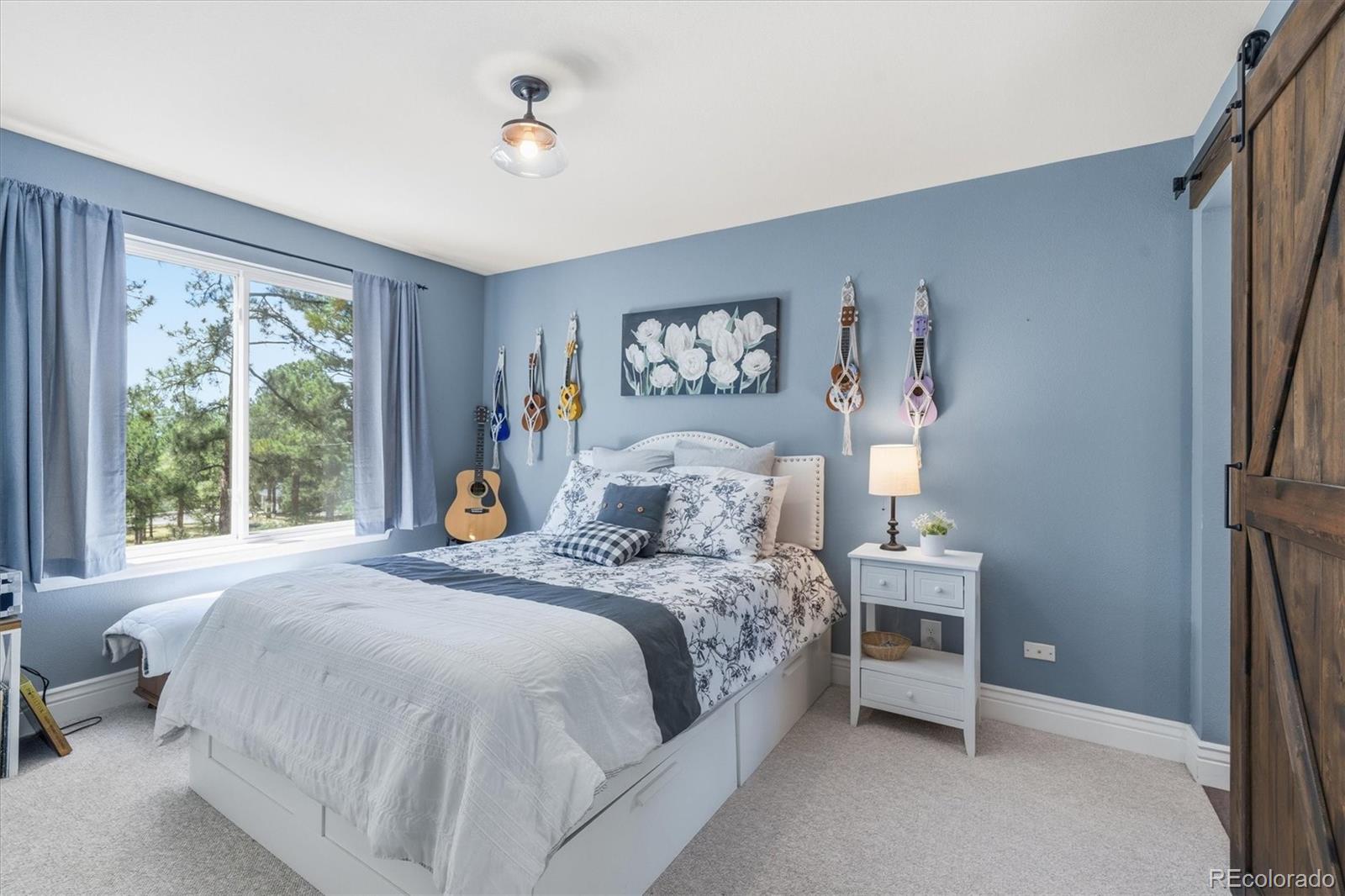 MLS Image #28 for 1614  gore drive,larkspur, Colorado