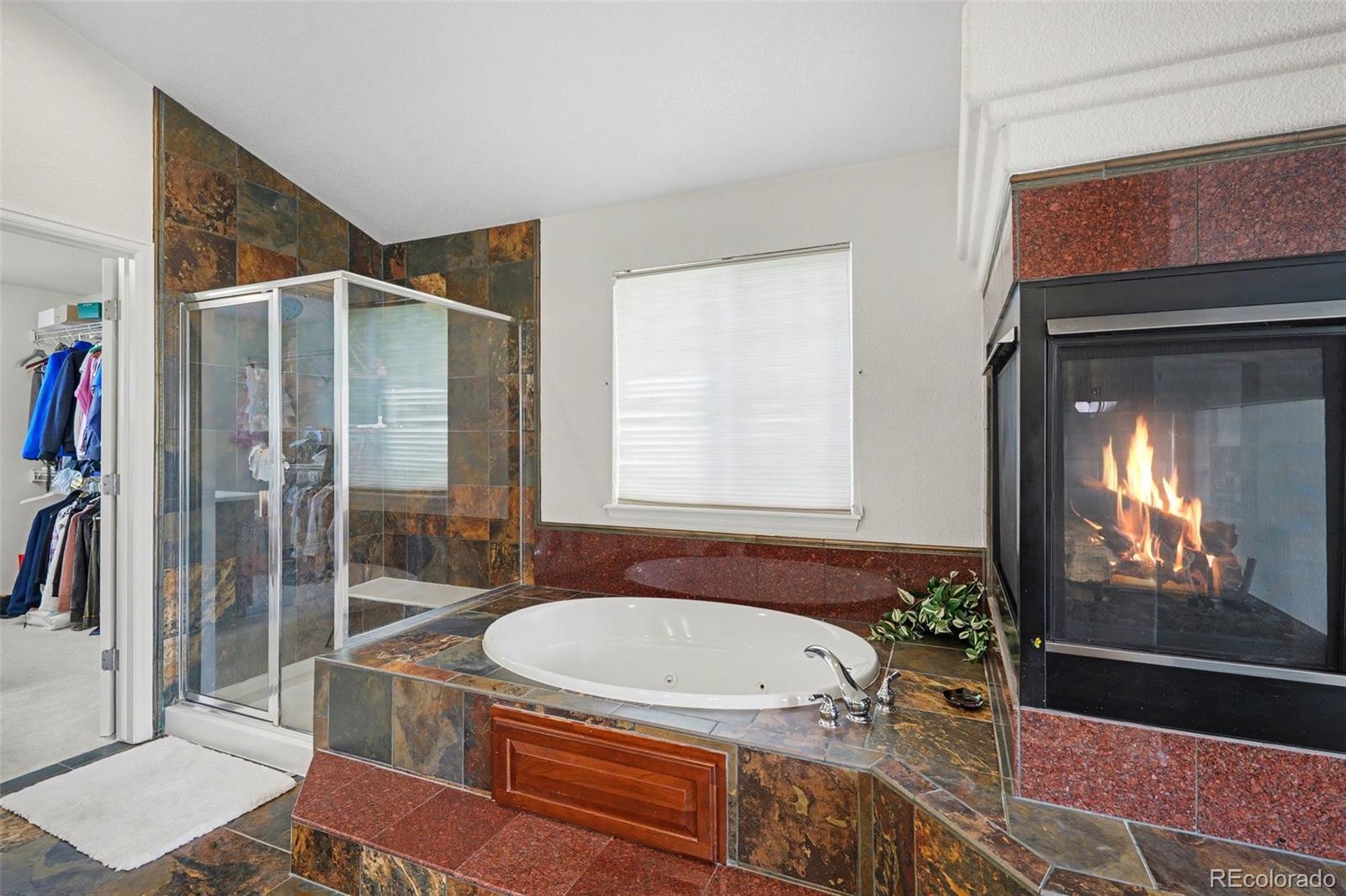 MLS Image #20 for 10558  paint place,littleton, Colorado