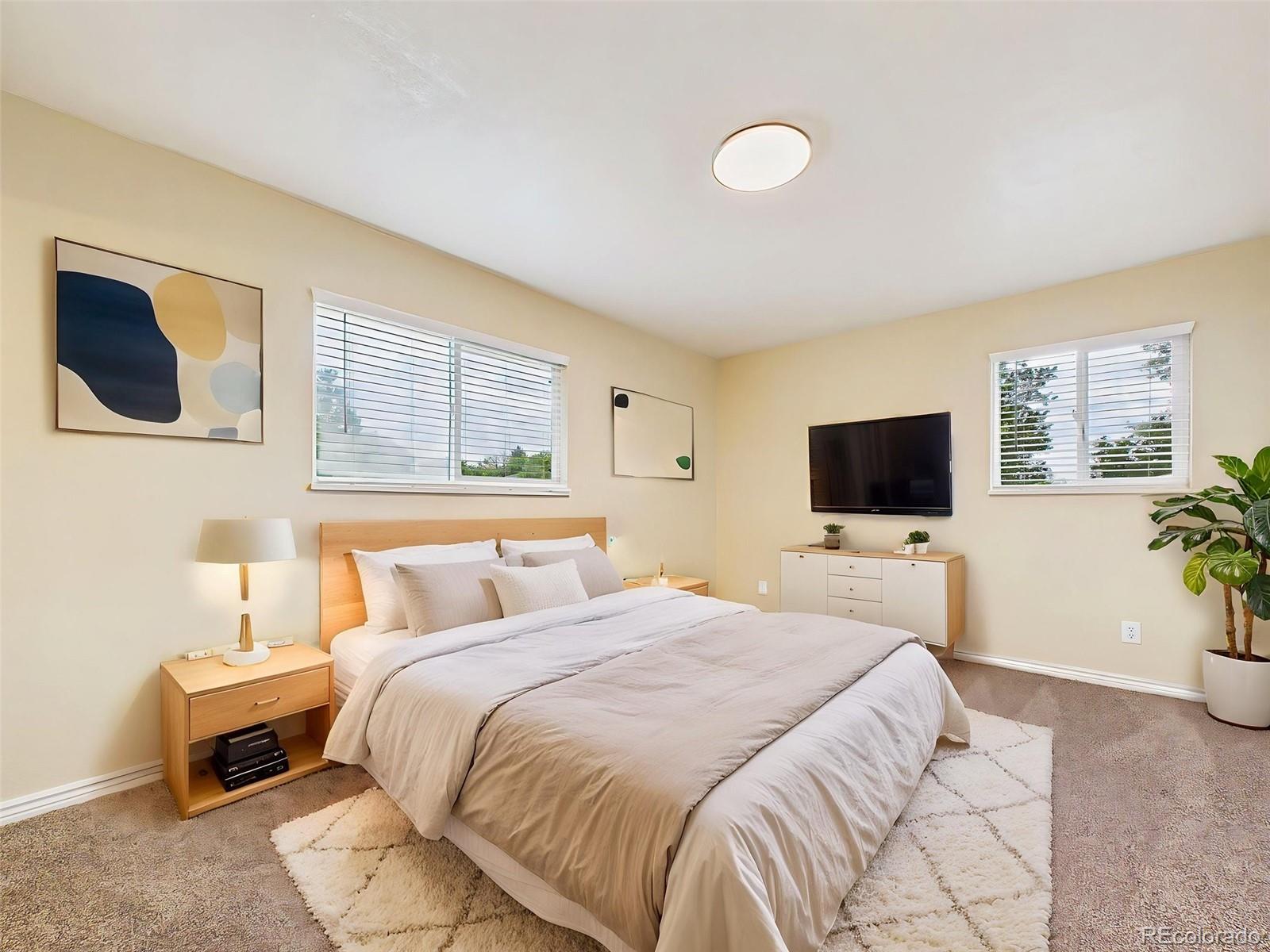 MLS Image #19 for 1509  lyle drive,colorado springs, Colorado