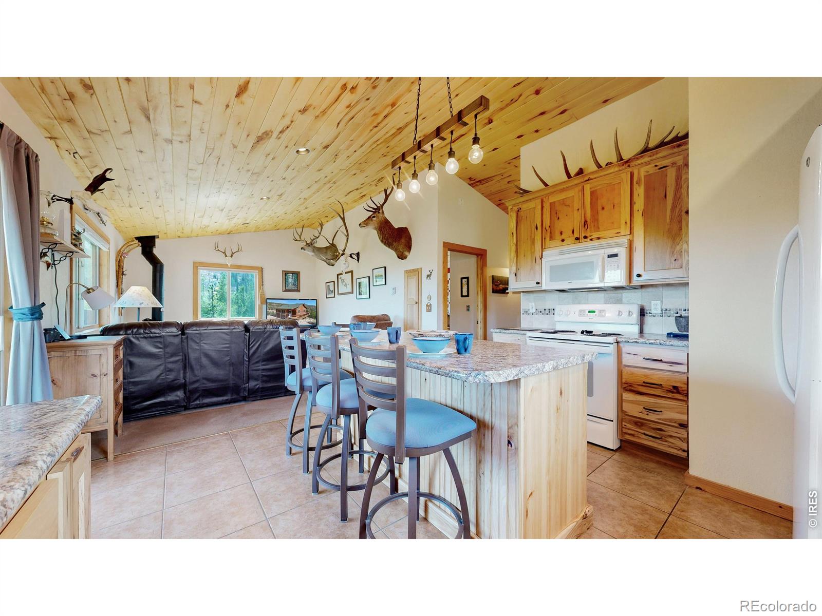 MLS Image #12 for 51  tenino court,red feather lakes, Colorado