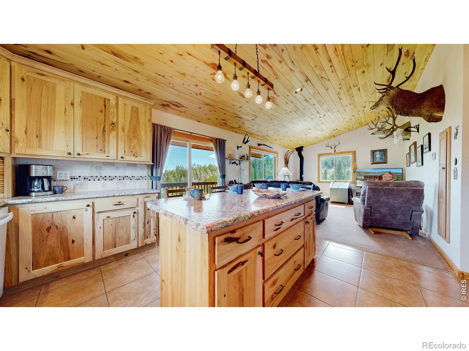 MLS Image #13 for 51  tenino court,red feather lakes, Colorado
