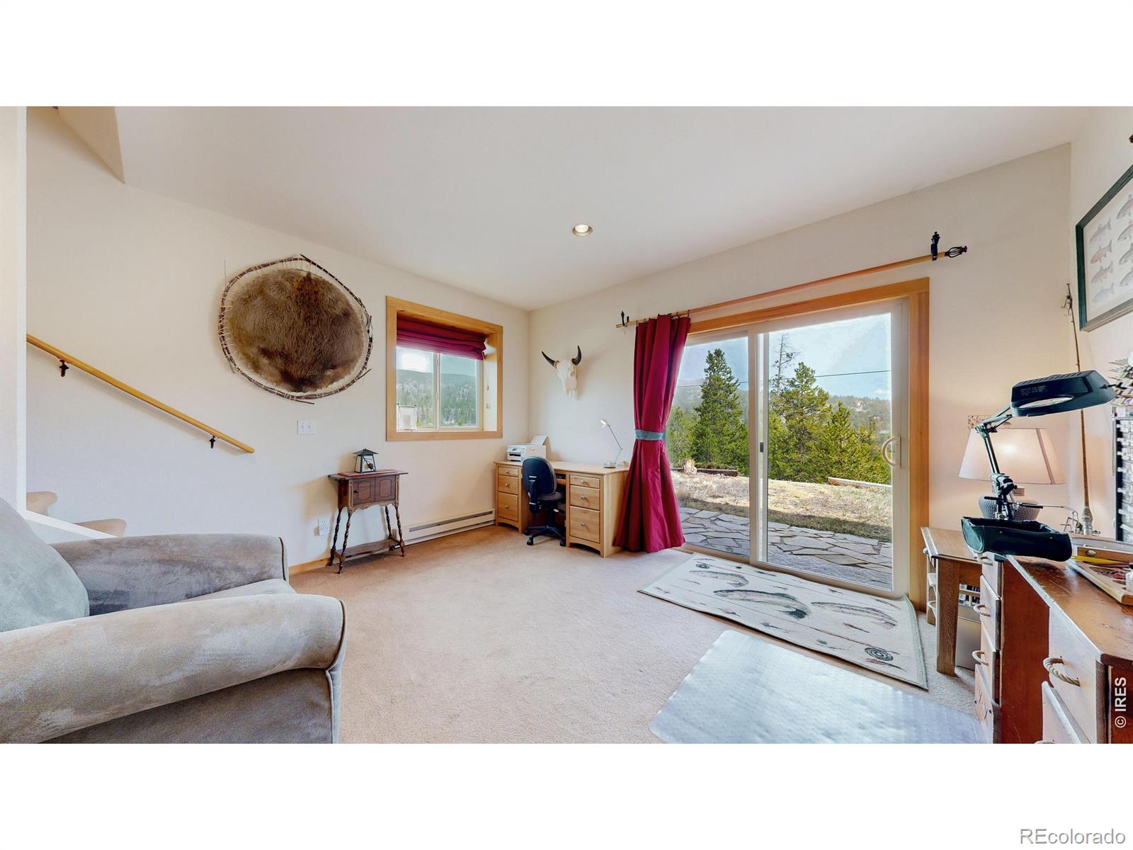 MLS Image #19 for 51  tenino court,red feather lakes, Colorado