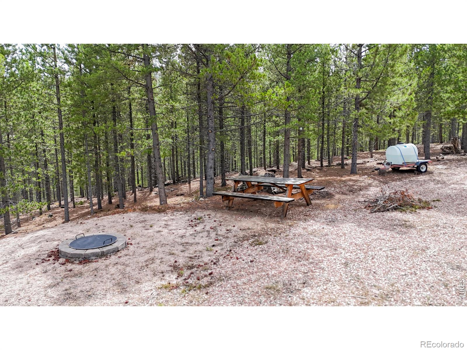 MLS Image #39 for 51  tenino court,red feather lakes, Colorado