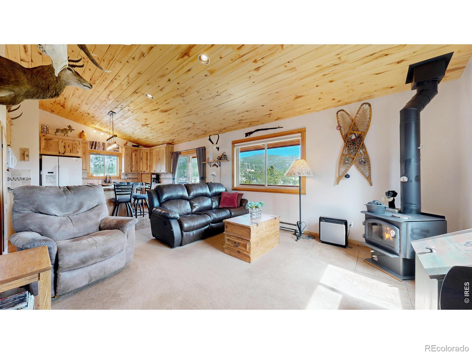 MLS Image #7 for 51  tenino court,red feather lakes, Colorado
