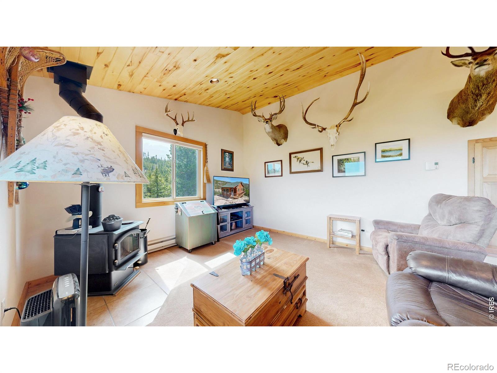 MLS Image #8 for 51  tenino court,red feather lakes, Colorado