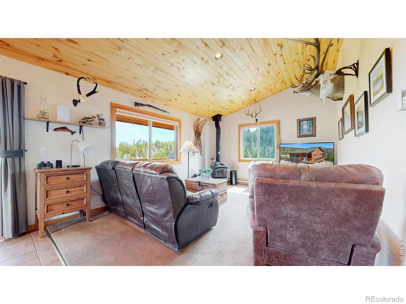 MLS Image #9 for 51  tenino court,red feather lakes, Colorado