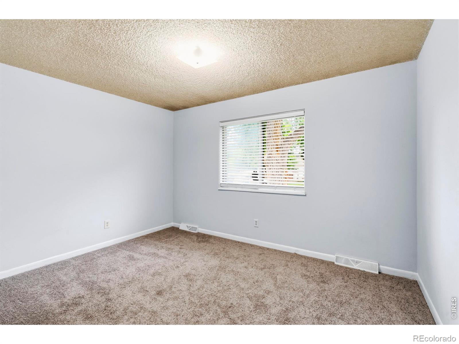 MLS Image #19 for 541  sycamore drive,windsor, Colorado