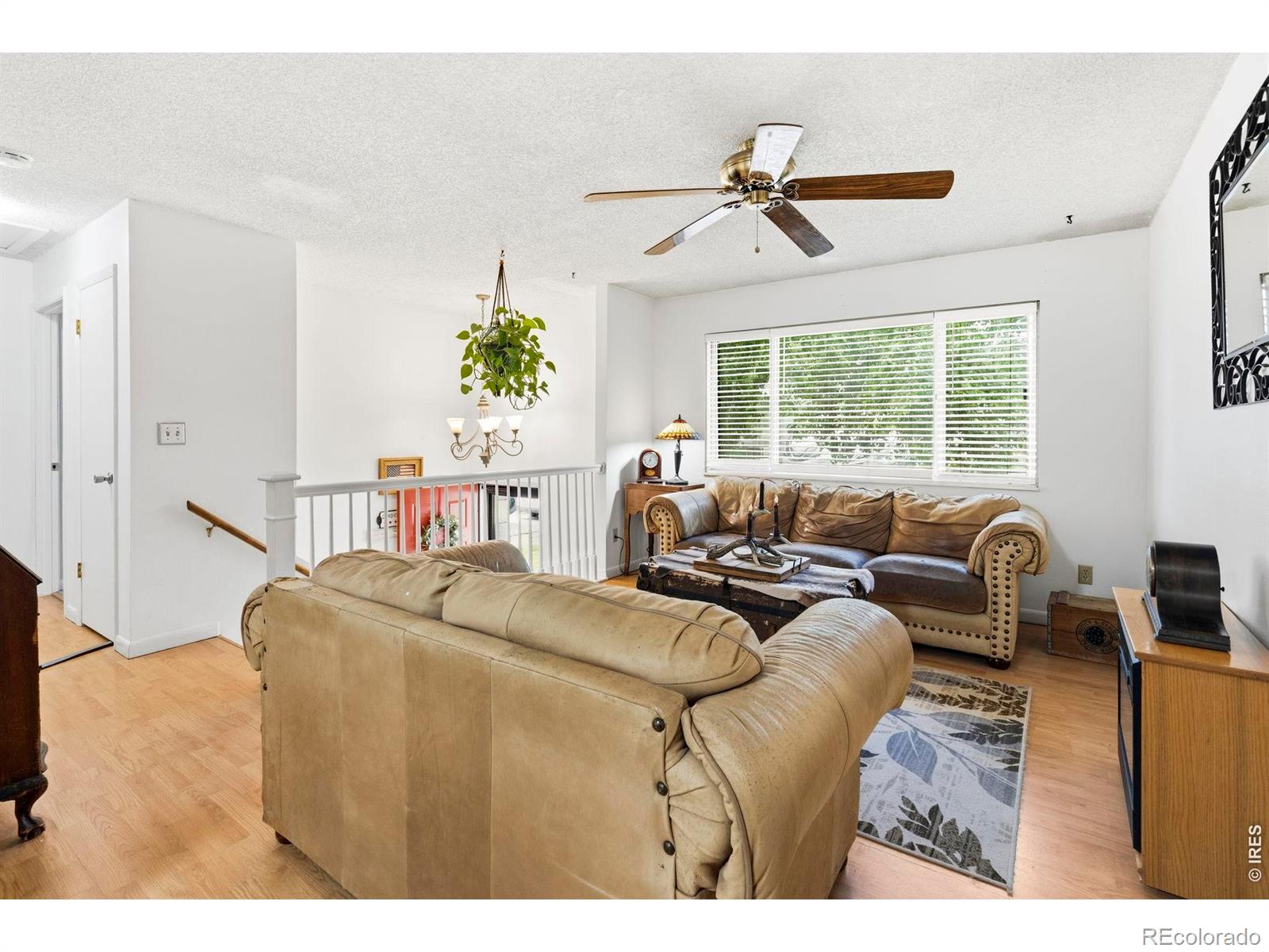 MLS Image #5 for 541  sycamore drive,windsor, Colorado