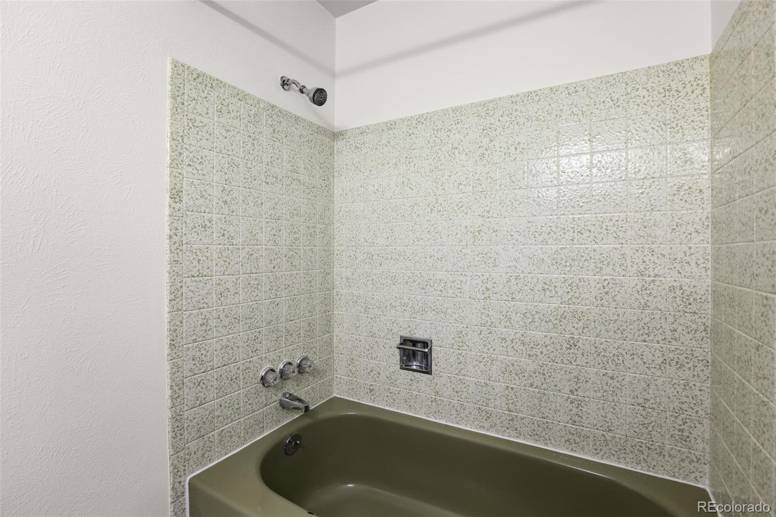 MLS Image #22 for 3963 w 65th place,arvada, Colorado