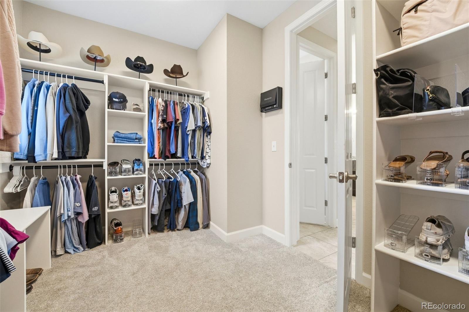 MLS Image #16 for 2849  rising moon way,castle rock, Colorado