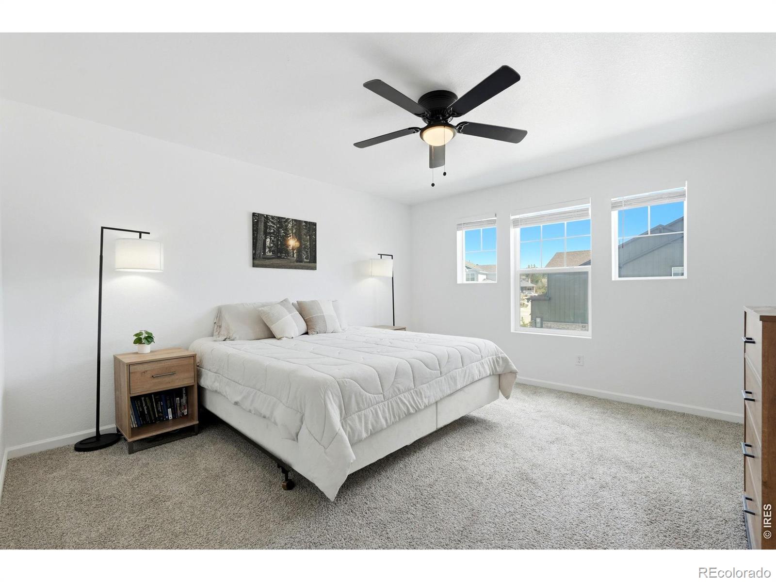 MLS Image #13 for 9915  matchless street,littleton, Colorado