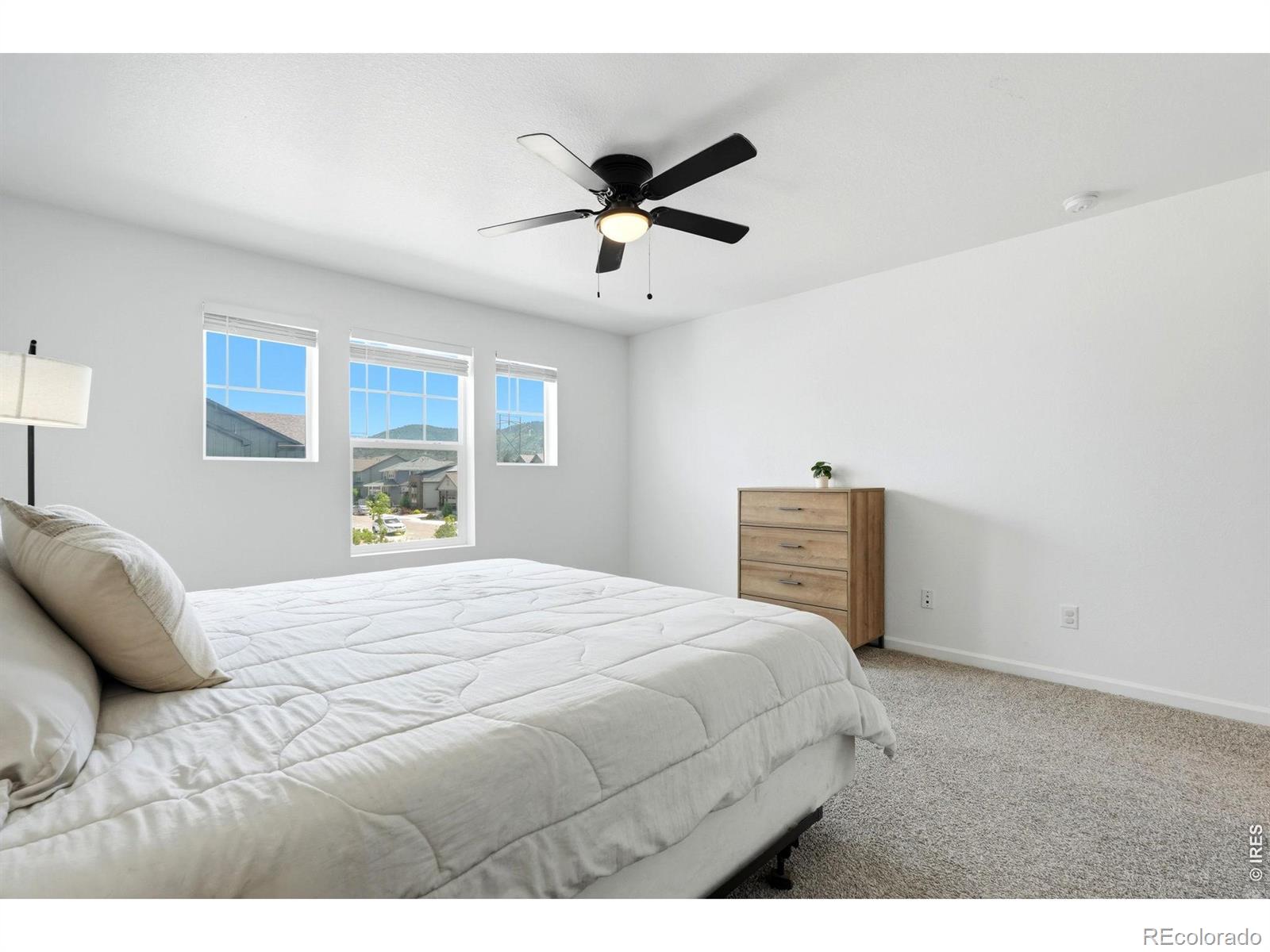 MLS Image #14 for 9915  matchless street,littleton, Colorado