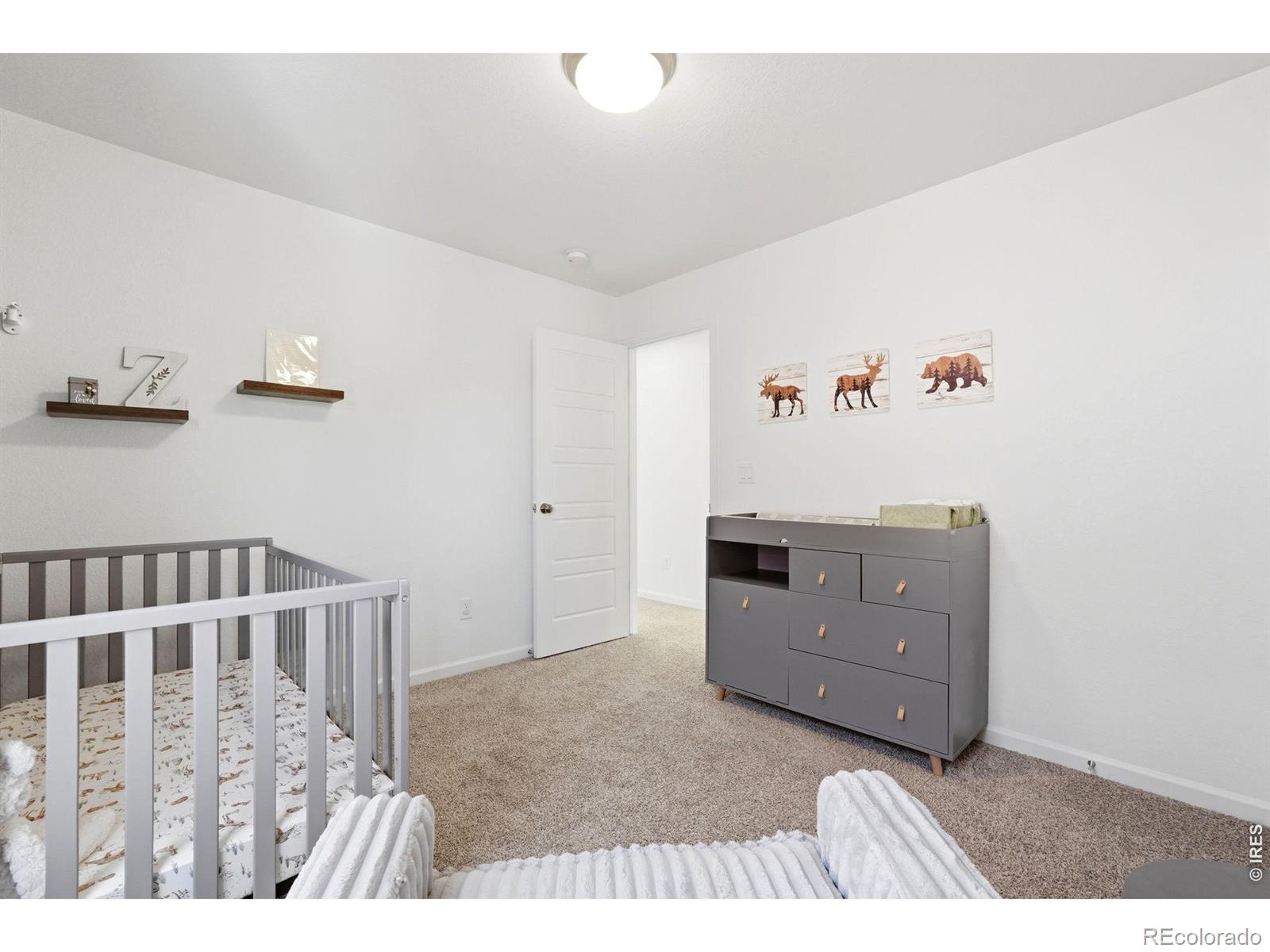 MLS Image #22 for 9915  matchless street,littleton, Colorado