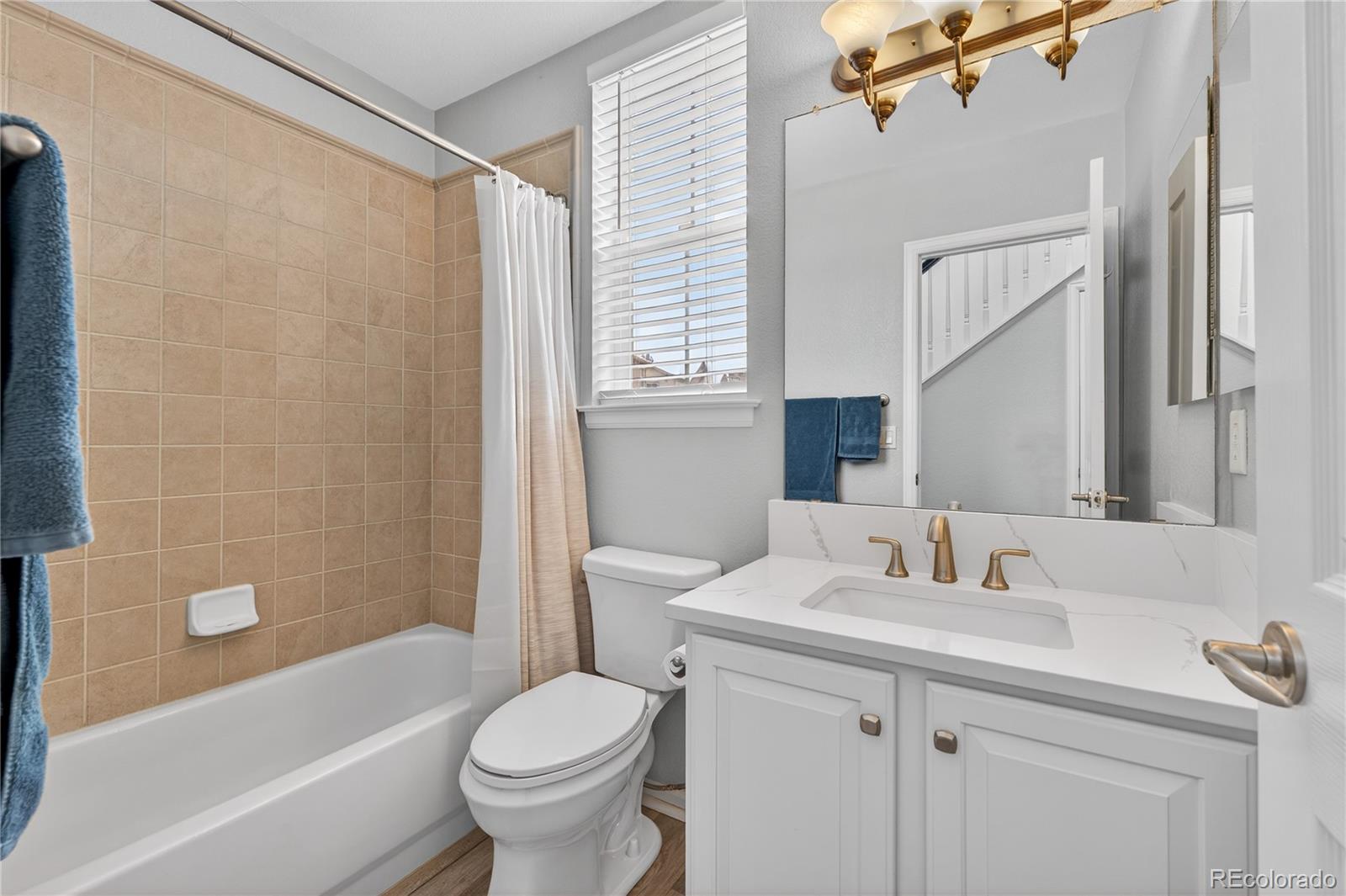 MLS Image #11 for 3997  blue pine circle,highlands ranch, Colorado