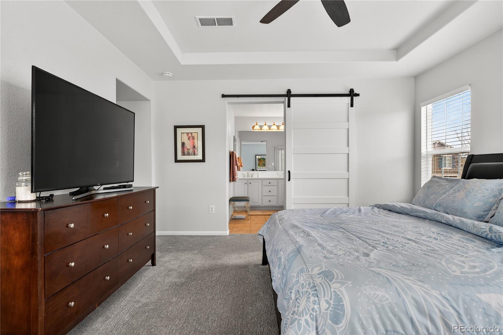 MLS Image #16 for 3997  blue pine circle,highlands ranch, Colorado