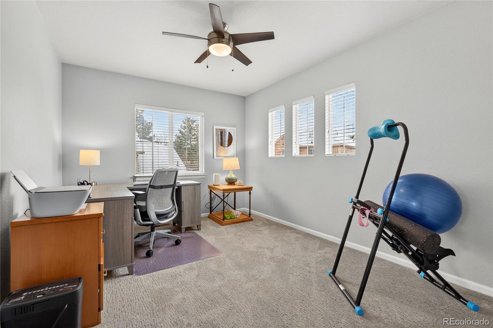 MLS Image #17 for 3997  blue pine circle,highlands ranch, Colorado