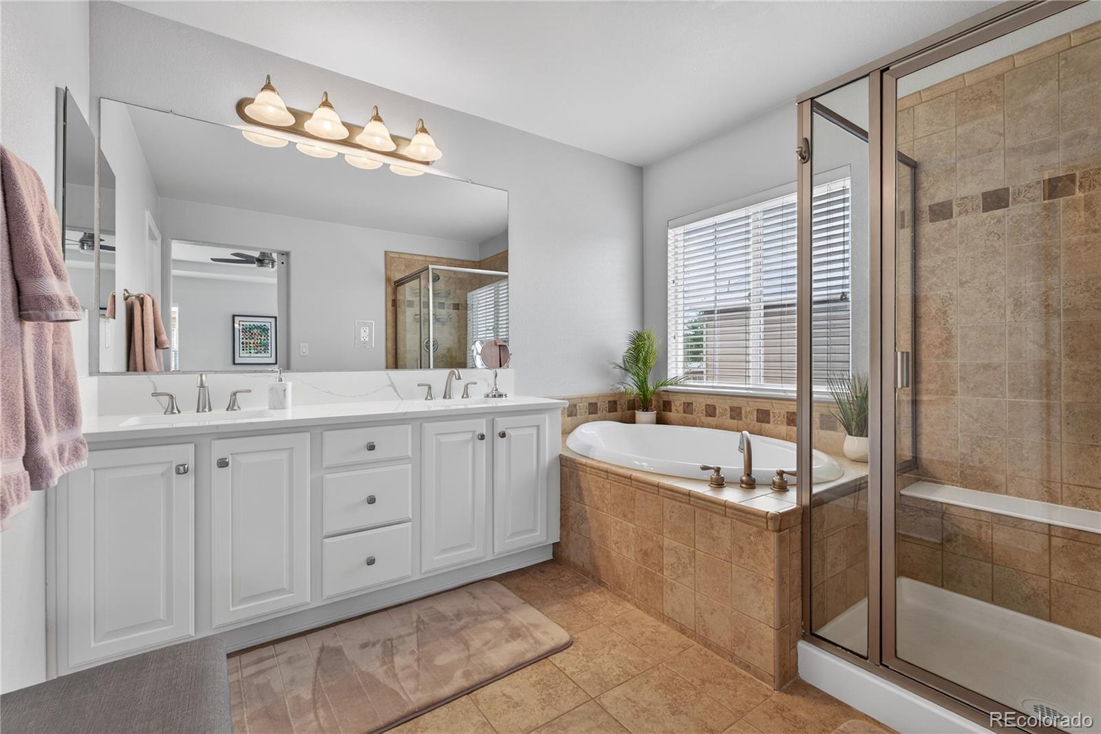 MLS Image #18 for 3997  blue pine circle,highlands ranch, Colorado