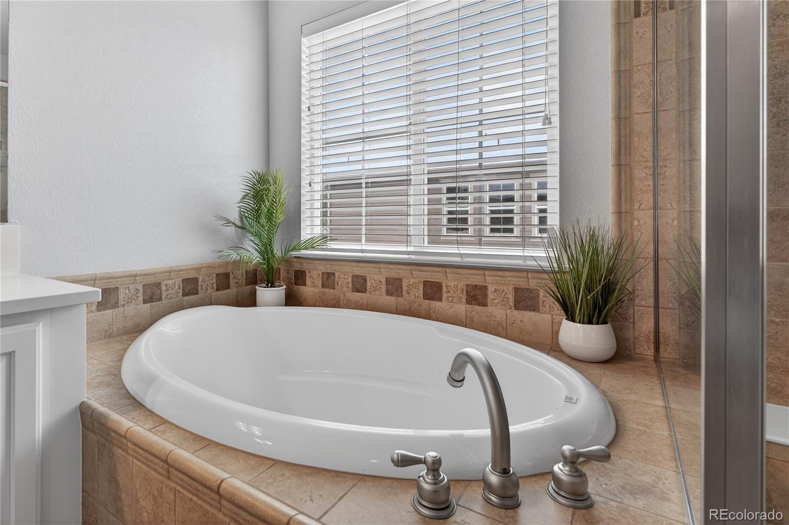 MLS Image #20 for 3997  blue pine circle,highlands ranch, Colorado