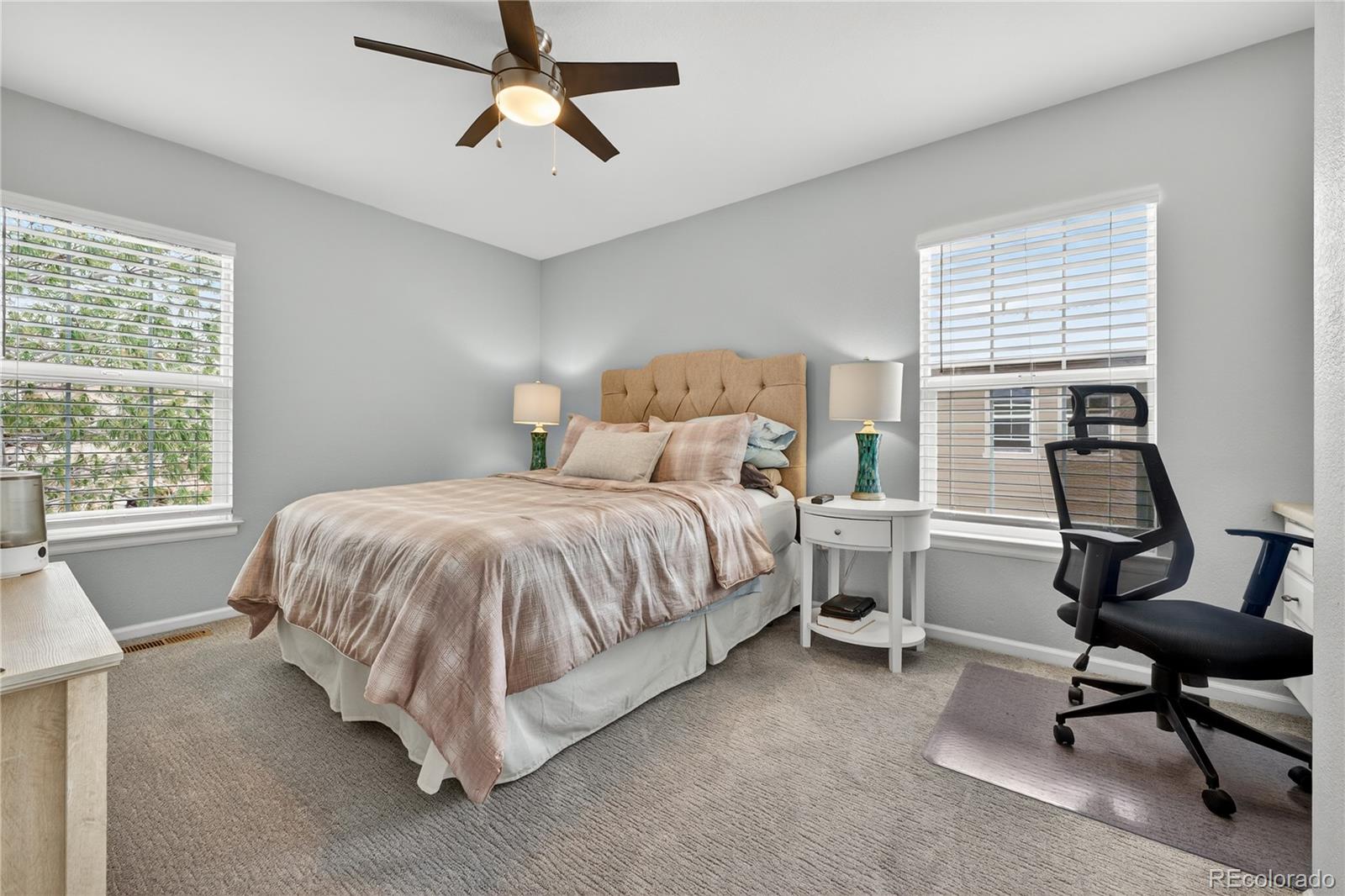 MLS Image #21 for 3997  blue pine circle,highlands ranch, Colorado