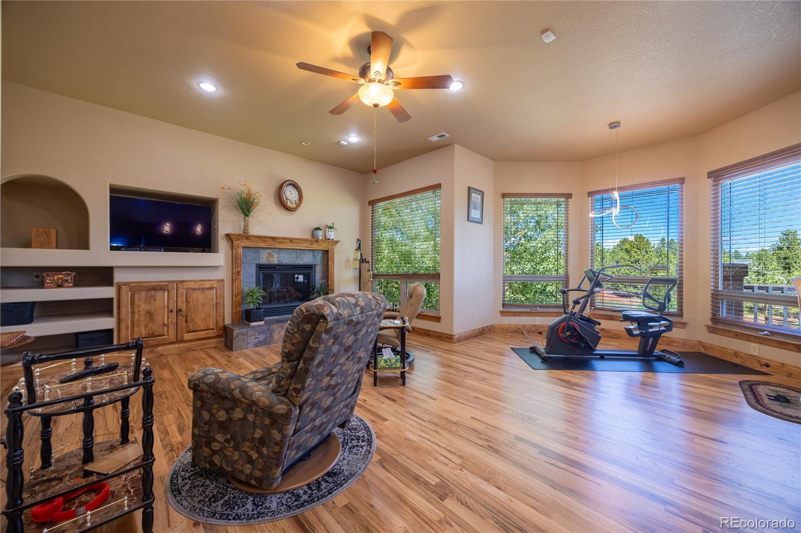 MLS Image #21 for 230  eagle pines drive,woodland park, Colorado