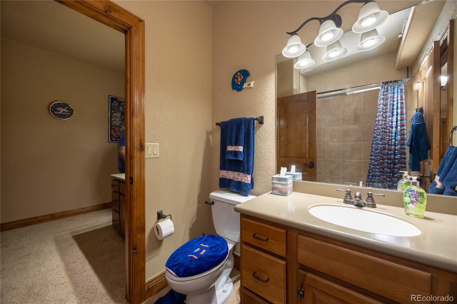 MLS Image #39 for 230  eagle pines drive,woodland park, Colorado