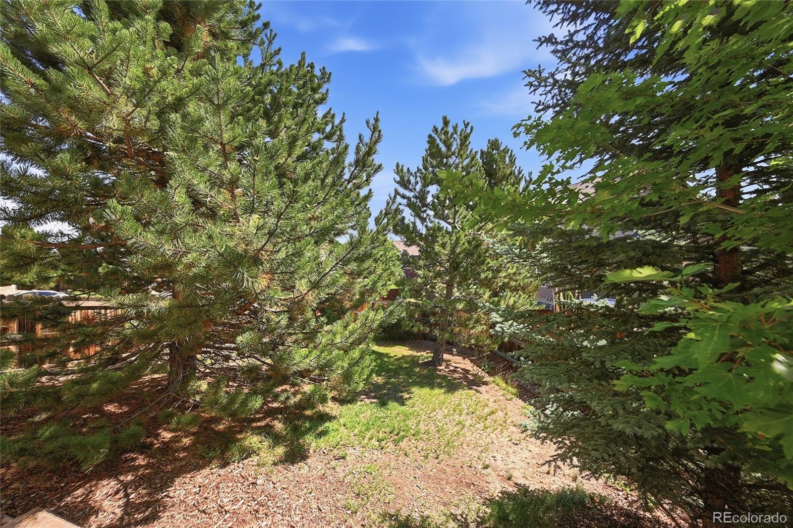 MLS Image #38 for 3037  mashie circle,castle rock, Colorado