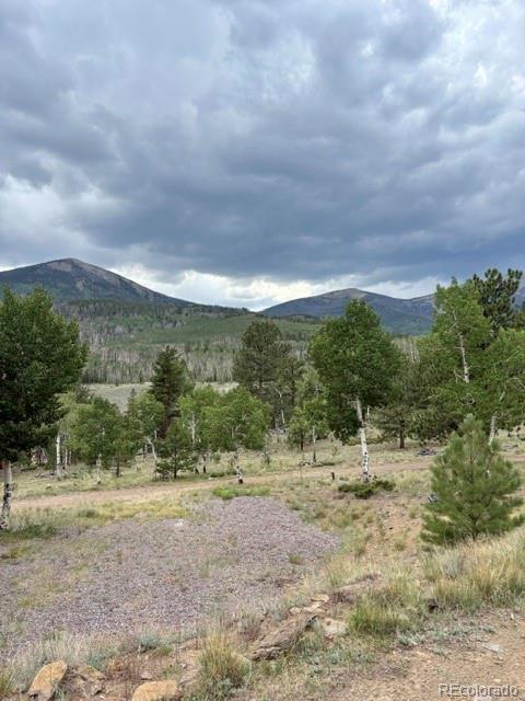 MLS Image #4 for 36266  county road nn 46 ,villa grove, Colorado